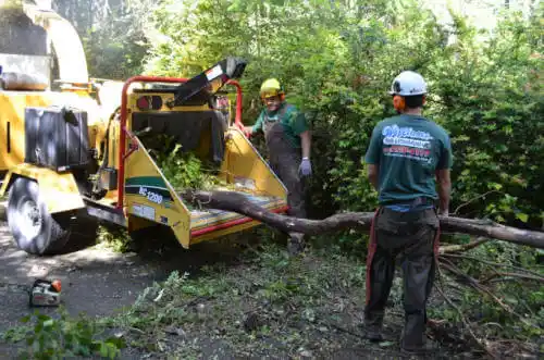 tree services Kotlik